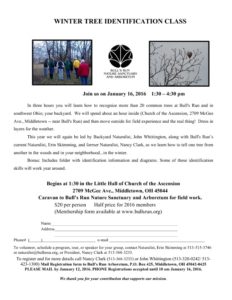 Winter Tree ID flyer 2016-thumbnail